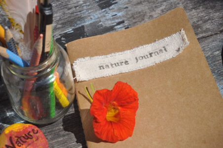 Connect to Nature and Self with a Spring Nature Journal